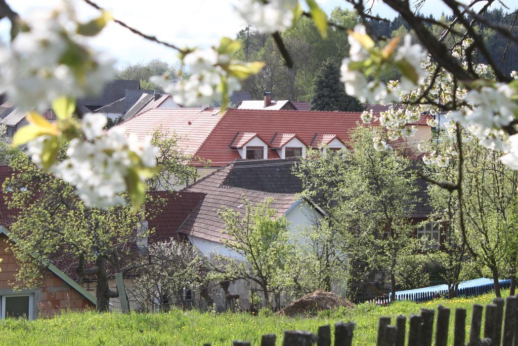 Penzion U Rudolfu Vlasenice Dış mekan fotoğraf